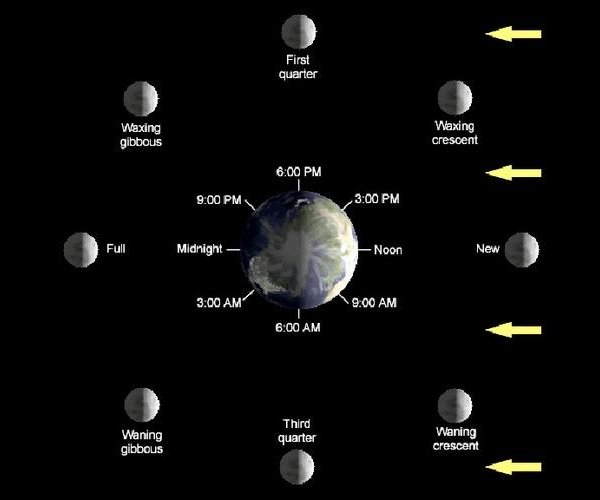 phases of the moon